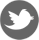 social-twitter-icon